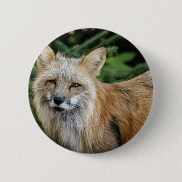 Wild Fox Ronde Button 5,7 Cm