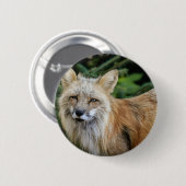 Wild Fox Ronde Button 5,7 Cm (Voorkant /achterkant)