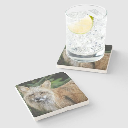 Wild Fox Stenen Onderzetter (Zijkant)