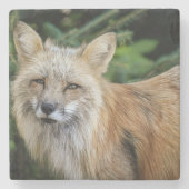 Wild Fox Stenen Onderzetter (Voorkant)