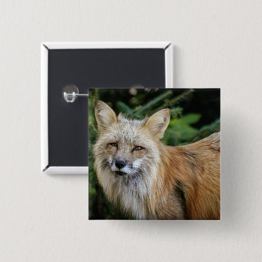 Wild Fox Vierkante Button 5,1 Cm (Voorkant /achterkant)