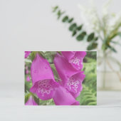 Wild Foxgloves - Digitalis Purpurea Briefkaart (Staand voorkant)