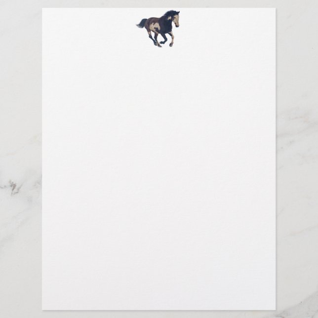 Wild Galloping Pinto American Paint Horse (Voorkant)