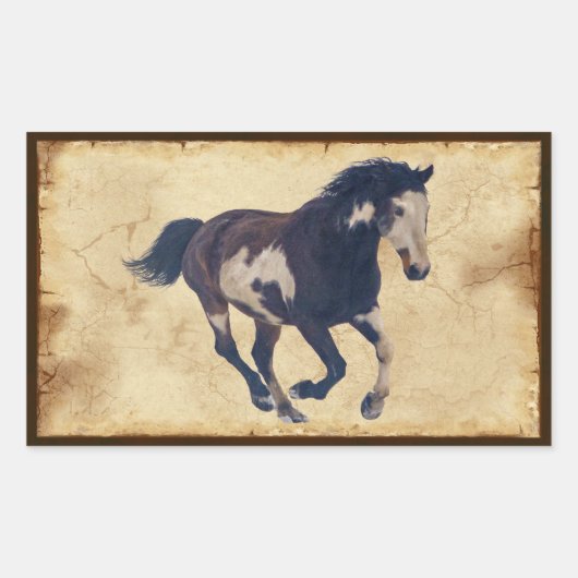 Wild Galloping Pinto American Paint Horse Rechthoekige Sticker (Voorkant)
