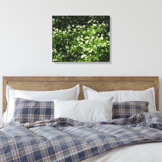 Wild Garlic Canvas Afdruk (Insitu (Slaapkamer))