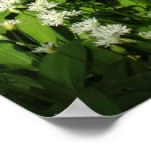 Wild Garlic Poster (Hoek)