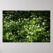 Wild Garlic Poster (Voorkant)