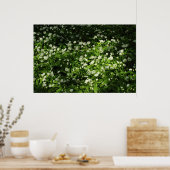 Wild Garlic Poster (Keuken)