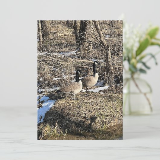 Wild Geese (Staand voorkant)