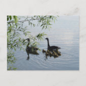 Wild Geese Briefkaart (Voorkant)