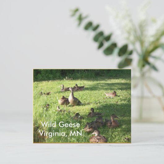 Wild Geese Briefkaart (Staand voorkant)