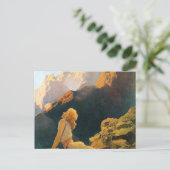 Wild Geese door Maxfield Parrish Briefkaart (Staand voorkant)