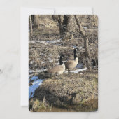 Wild Geese Feestdagenkaart (Voorkant)