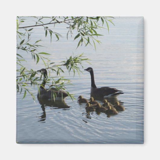 Wild Geese Magnet (Voorkant)