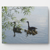 Wild Geese Plaque Fotoplaat (Voorkant)