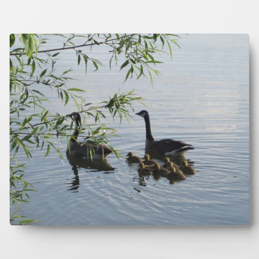 Wild Geese Plaque Fotoplaat (Voorkant)