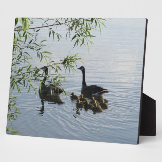 Wild Geese Plaque Fotoplaat (Zijkant)