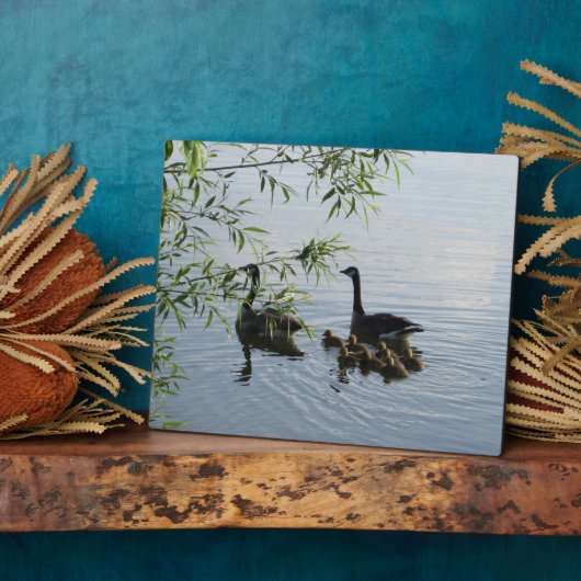 Wild Geese Plaque Fotoplaat (Zijkant)