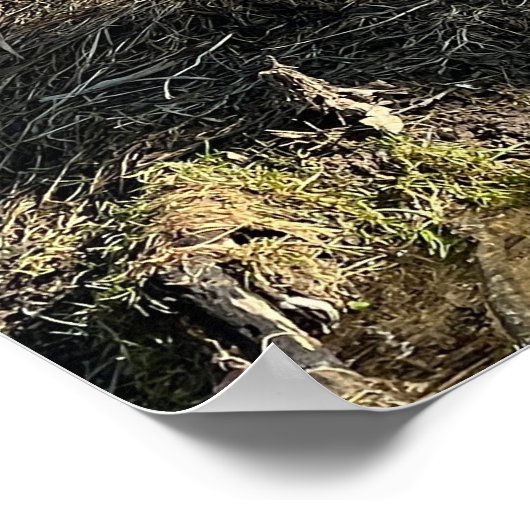 Wild Geese Poster (Hoek)