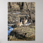 Wild Geese Poster (Voorkant)