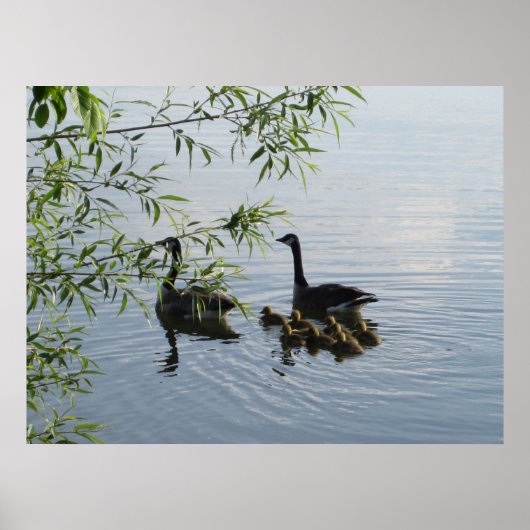 Wild Geese Print (Voorkant)