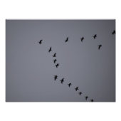 Wild Geese's Foto Afdruk (Voorkant)