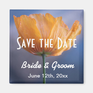 wild gele papaverbloem, met uitzondering van de da magneet