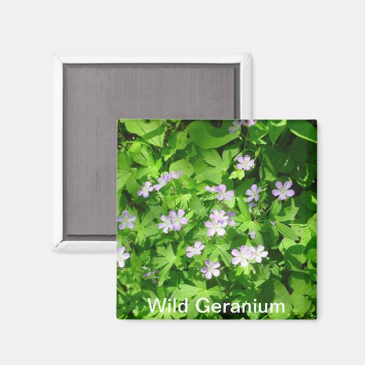 Wild Geranium Magnet (Voorkant / Achterkant)