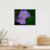 Wild Geranium Poster (Keuken)