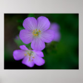 Wild Geranium Poster (Voorkant)