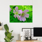 Wild Geranium reeks overeenkomende items Poster (Thuiskantoor)
