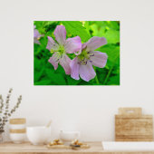 Wild Geranium reeks overeenkomende items Poster (Keuken)