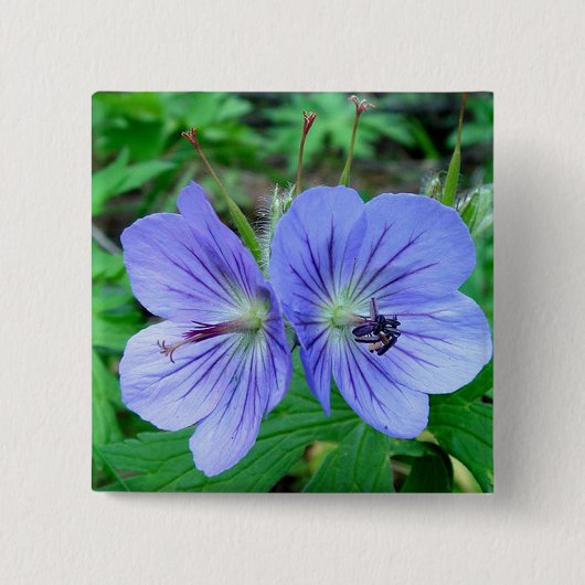 Wild Geranium Vierkante Button 5,1 Cm (Voorkant)