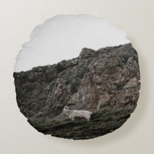 WILD GOAT ROND KUSSEN