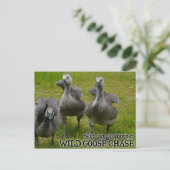 Wild Goose Chase Briefkaart (Staand voorkant)