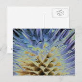 Wild Grass Explosion Briefkaart (Voorkant / Achterkant)
