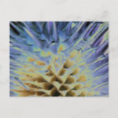 Wild Grass Explosion Briefkaart (Voorkant)