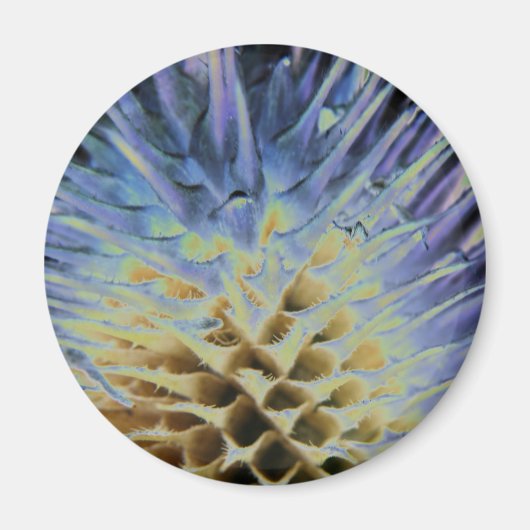 Wild Grass Explosion Magnet (Voorkant)