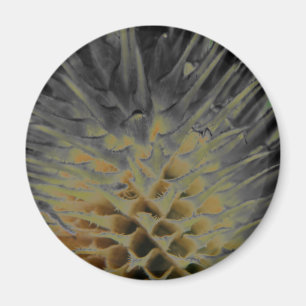 Wild Grass Supernova Magneet