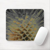 Wild Grass Supernova Muismat (Met muis)