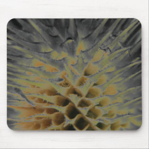 Wild Grass Supernova Muismat
