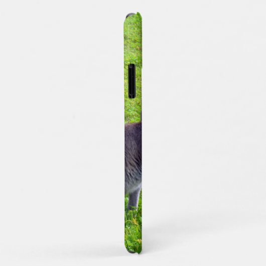 Wild Gray Australian Kangaroos Case-Mate iPhone Case (Achterkant/rechts)