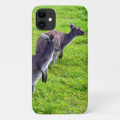 Wild Gray Australian Kangaroos Case-Mate iPhone Case (Achterkant)