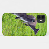Wild Gray Australian Kangaroos Case-Mate iPhone Case (Achterkant (horizontaal))