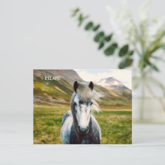 Wild Gray Horse Briefkaart (Staand voorkant)