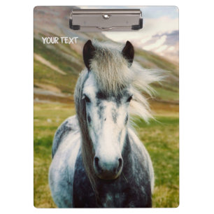 Wild Gray Horse Klembord
