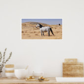Wild Gray Horse, Utah Poster (Keuken)