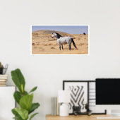 Wild Gray Horse, Utah Poster (Thuiskantoor)