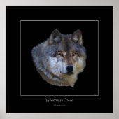 Wild Gray Wolf Art Poster (Voorkant)