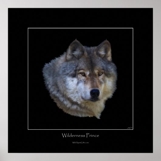 Wild Gray Wolf Art Poster (Voorkant)
